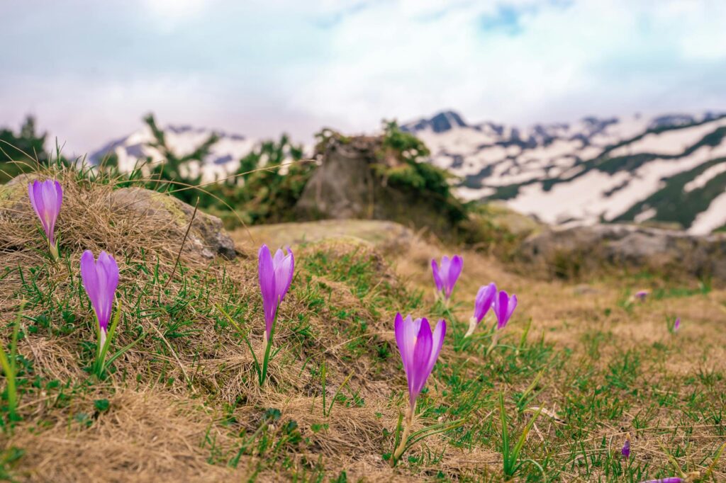 demi moore before after