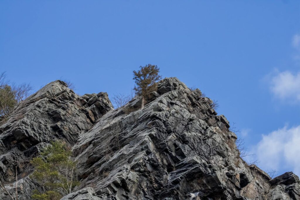 Harper Zilmer Age: What We Know