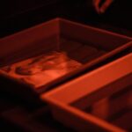 kfdnbv process diagram