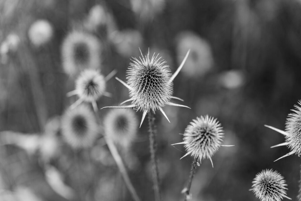 Sean Diddy Combs prison